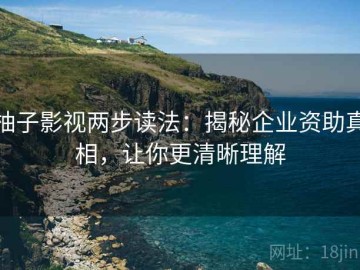 柚子影视两步读法：揭秘企业资助真相，让你更清晰理解