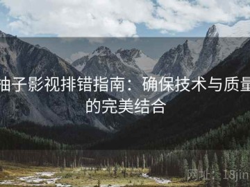 柚子影视排错指南：确保技术与质量的完美结合