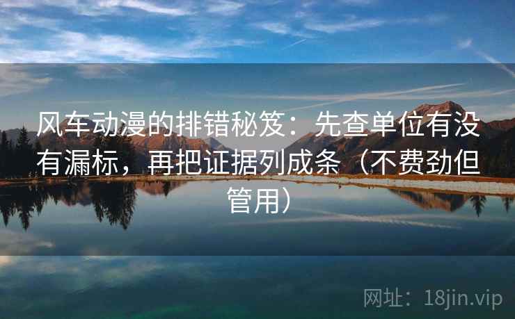 风车动漫的排错秘笈：先查单位有没有漏标，再把证据列成条（不费劲但管用）